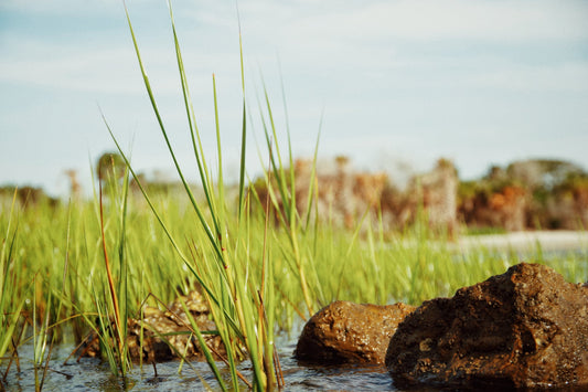 Discover Skunk Ape Designs: Where Our Passion Meets the Great Outdoors!
