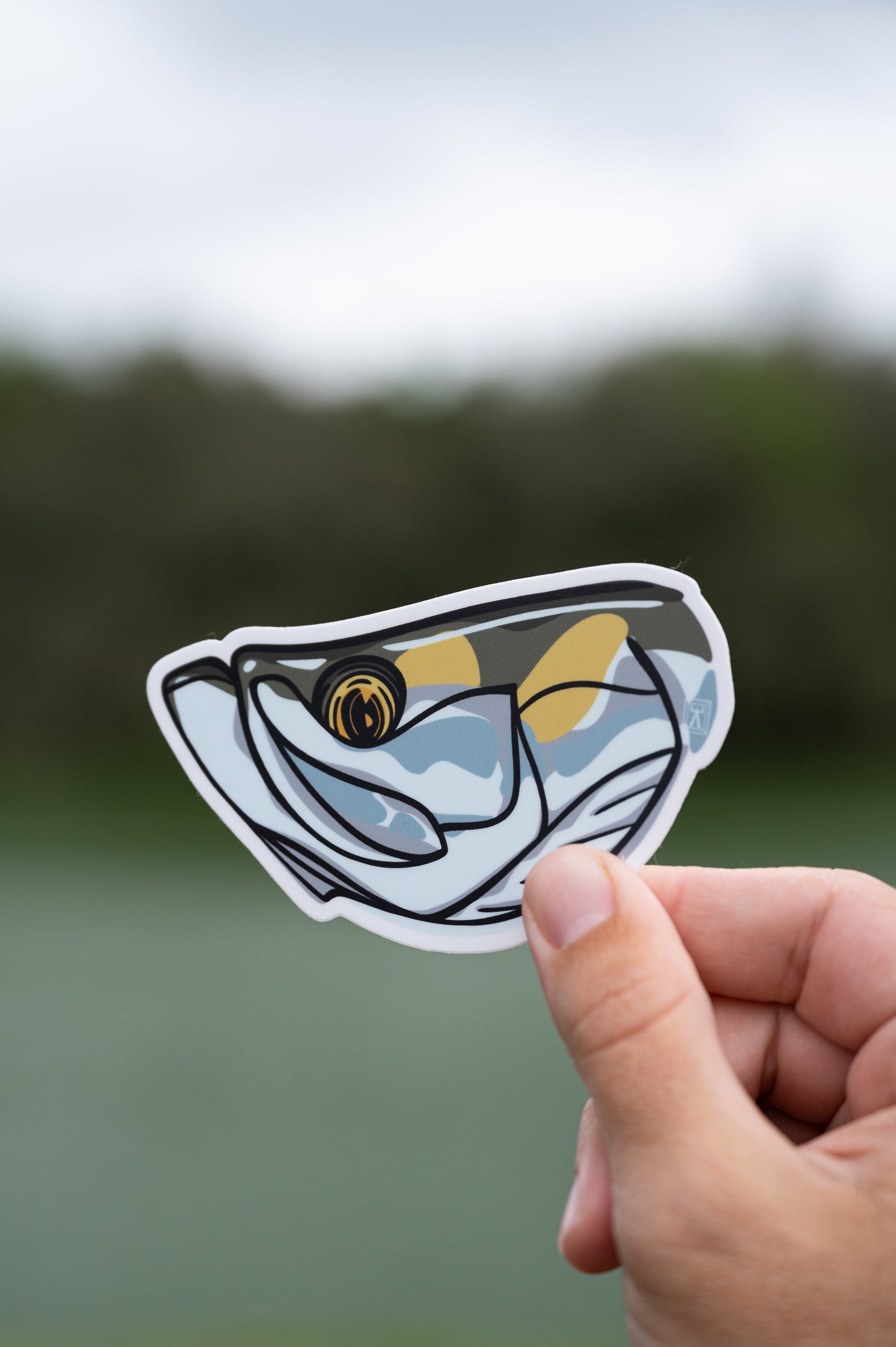 Hand holding tarpon head sticker