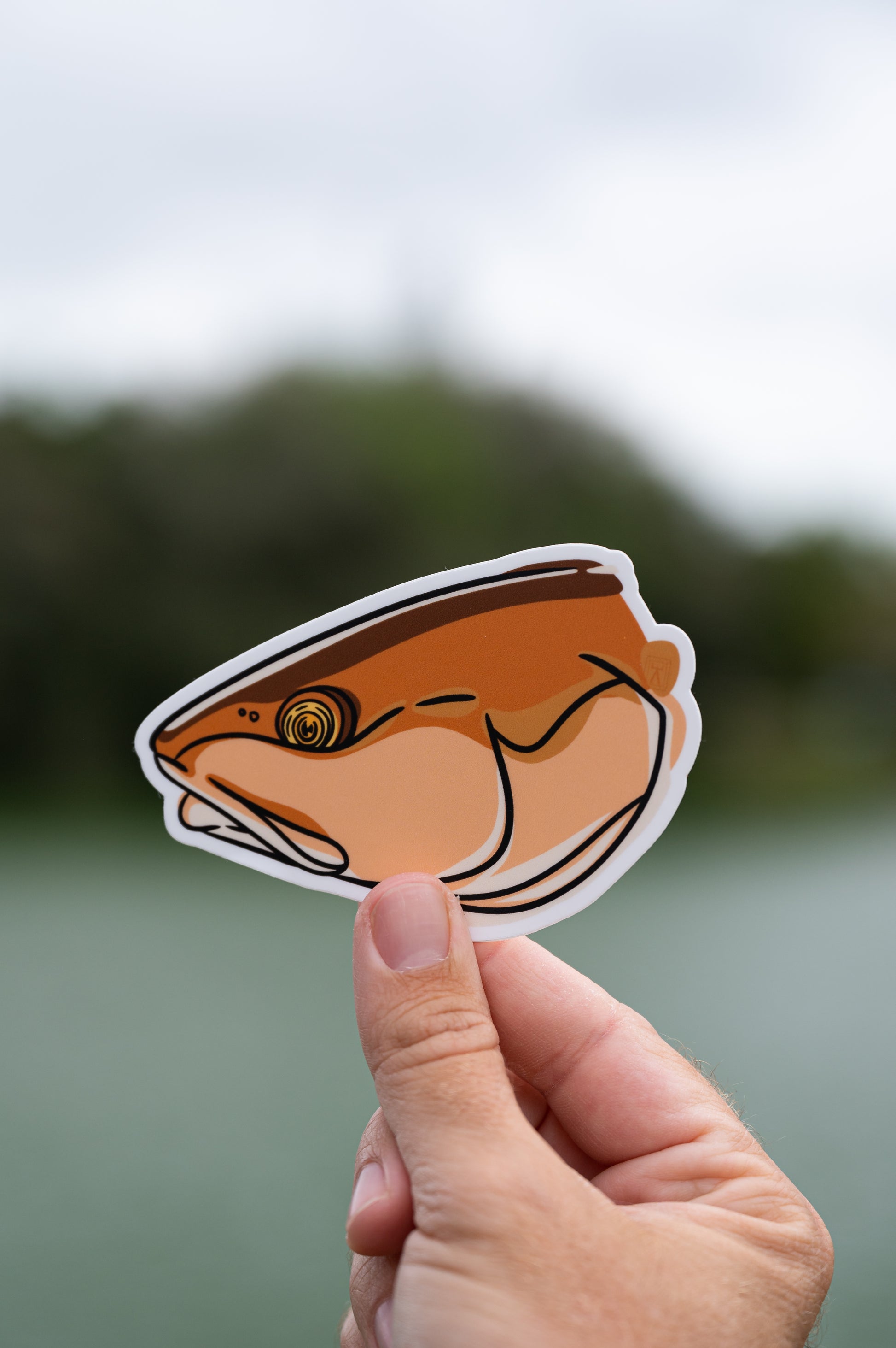 Hand holding redfish head sticker