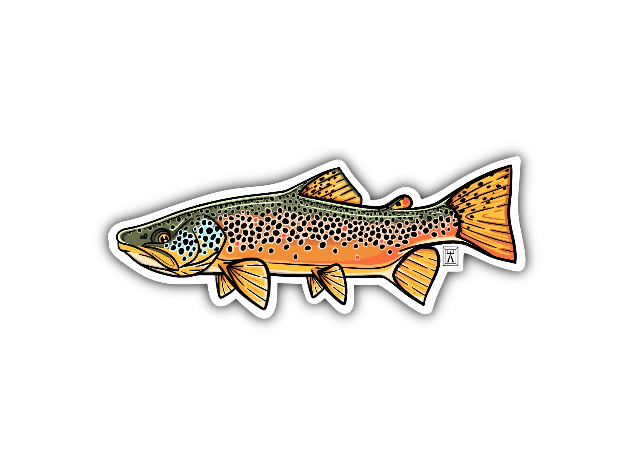 Brown Trout Sticker for water bottle for cars for boats coolers fishing