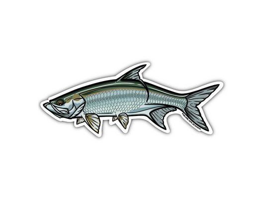 Tarpon Sticker