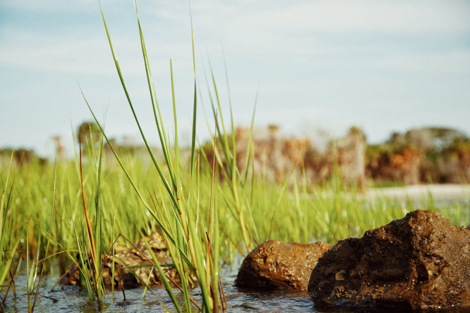 Discover Skunk Ape Designs: Where Our Passion Meets the Great Outdoors