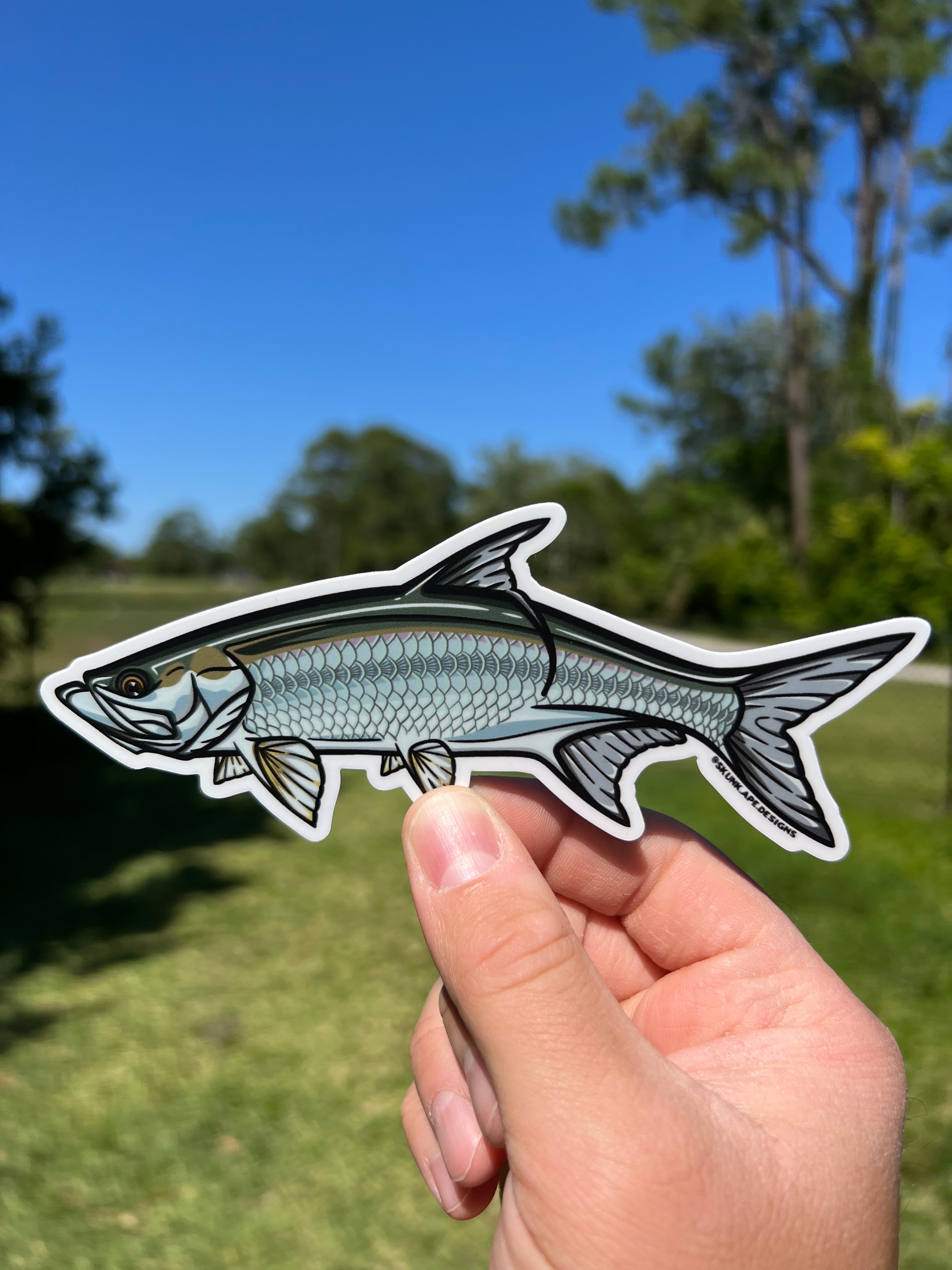 Tarpon Sticker