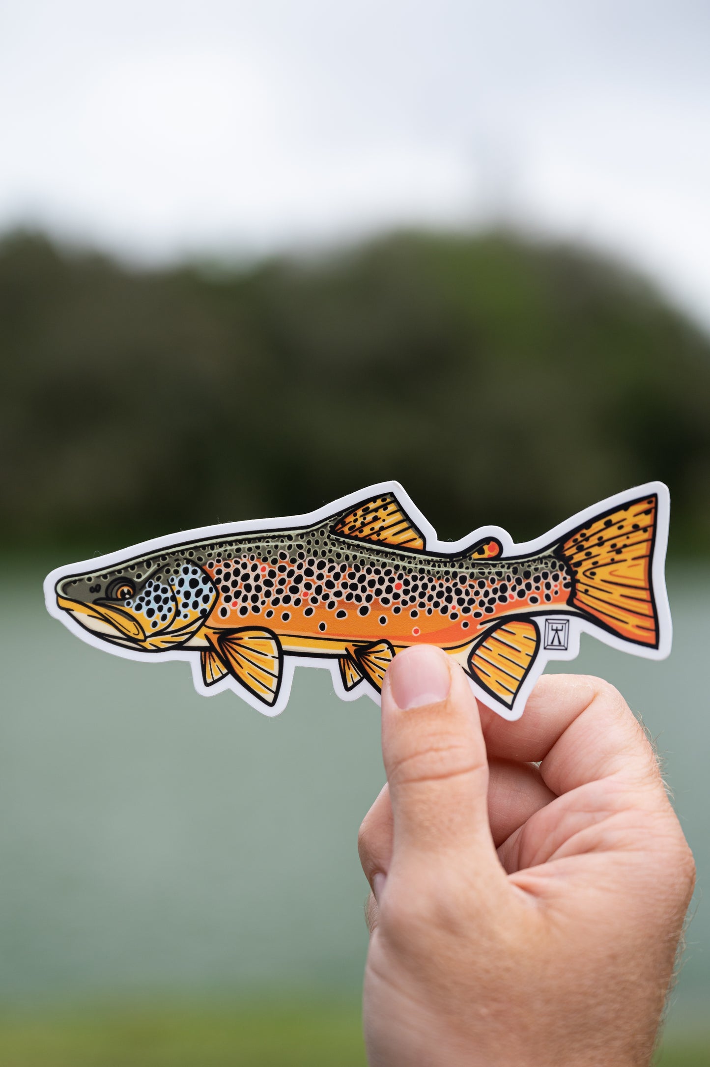 Hand holding brown trout sticker
