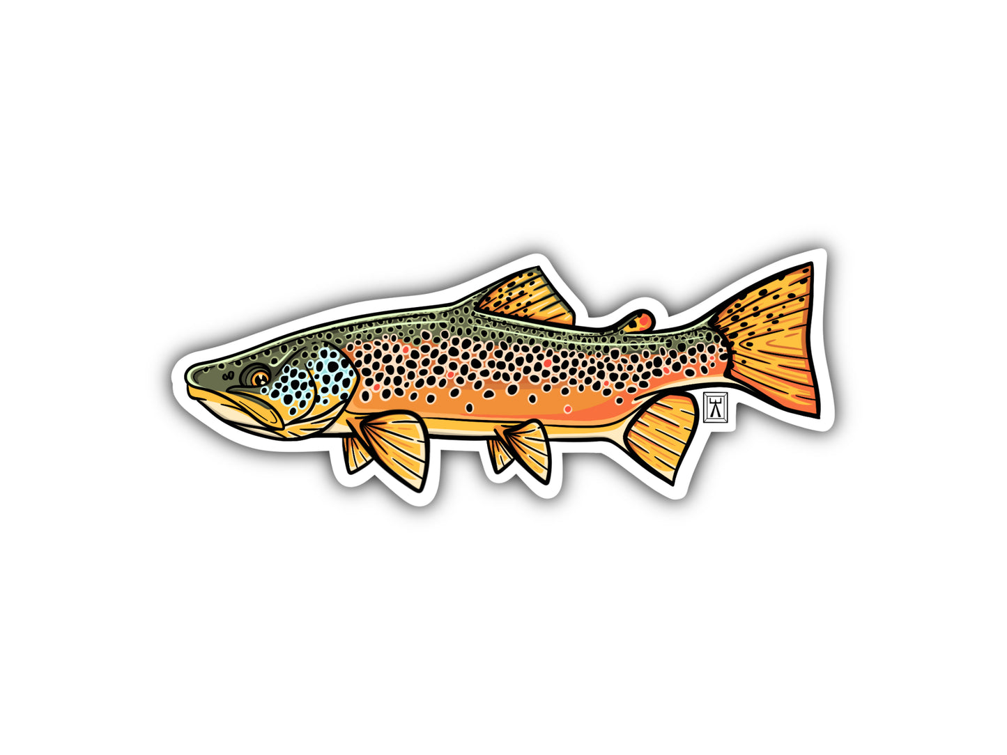 Sample of brown trout sticker